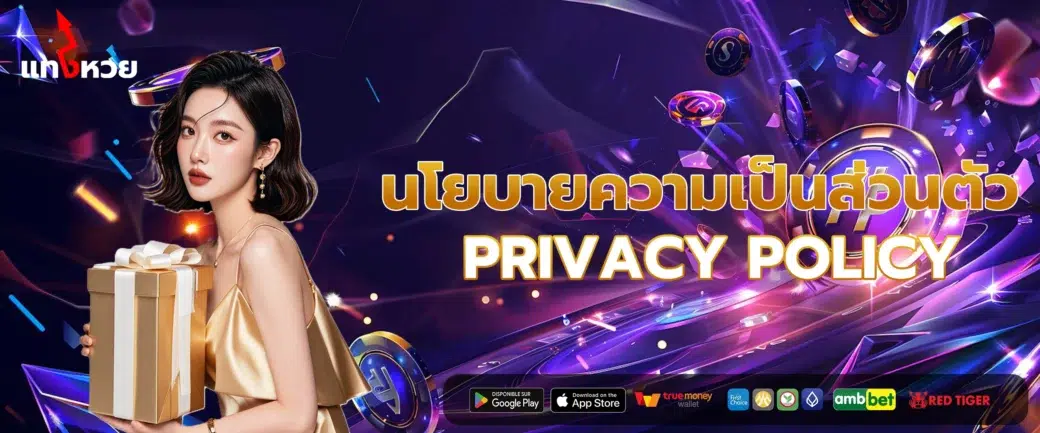 นโยบายความเป็นส่วนตัว